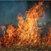 Residents were urged to close their doors and windows to keep smoke out as a grass fire ripped through a field in Downton.