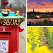 Salisbury Journal Camera Club members share brilliant colourful photos for April