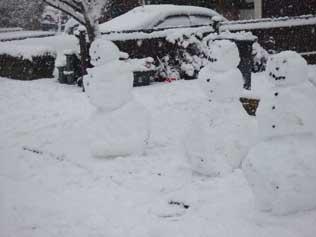Invasion of the snowmen? Picture from the Walker family from Watford