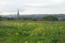 Landscape view of the cathedral from Lime Kiln Way in May.