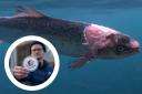 Farmed Scottish salmon 'off the table'