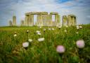 The men are suspected of trying to catch rabbits in fields near Stonehenge.