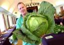Darren Blick with his cabbage