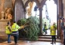 Look at the size of that - 17 photos show Cathedral's Christmas tree arrive