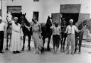 Charity founder Dorothy Brooke and the Old War Horse buying committee.