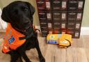Hampshire Search and Rescue Dogs was awarded an SSEN grant.