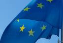European elections are being held on May 23