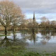 Salisbury water meadows. Picture: David Fawcett