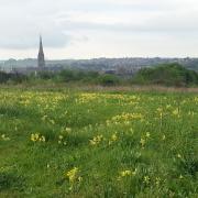 Landscape view of the cathedral from Lime Kiln Way in May.
