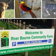 River Bourne Community Farm