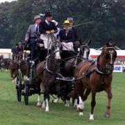 NEW FOREST SHOW COACH AND FOUR CATCH THE EYE OF THE LARGE CROWD.