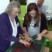 Marianne Clare instructs Charlotte Greatorex in the art of potting at Salisbury Allotments Association RHS Dig Together Day last week. DB8357P4