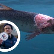 Farmed Scottish salmon 'off the table'