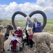Newstone House residents Joan Drake, left, and Winnie Marriott with Sandy Balls Activity Leader Curtis Munson and alpacas Pip, Dude and Chino.