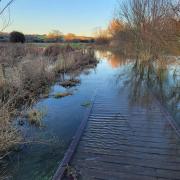 Sewage was discharged into the River Avon, near the board walk, on Tuesday.