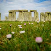 The men are suspected of trying to catch rabbits in fields near Stonehenge.
