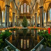 Enormous Christmas tree stands fully decorated in Cathedral