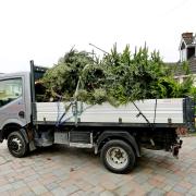 Salisbury Hospice Charity broke all previous records, raising £30,000 in this year's Christmas Tree Collection and Recycling initiative.