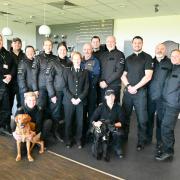 The hard work of Wiltshire Police's Dog Section has been highlighted.