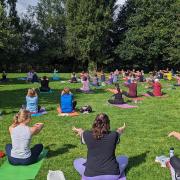 Park Yoga in Salisbury