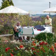 Horatio's Garden provides a beautiful sanctuary for spinal patients