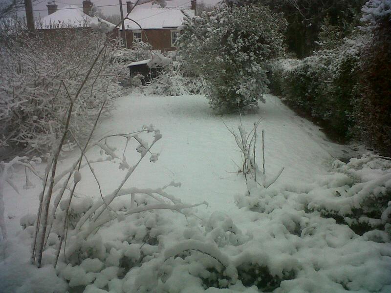 Carly Considine sent us a picture of her snow-covered back garden in Alderbury.
