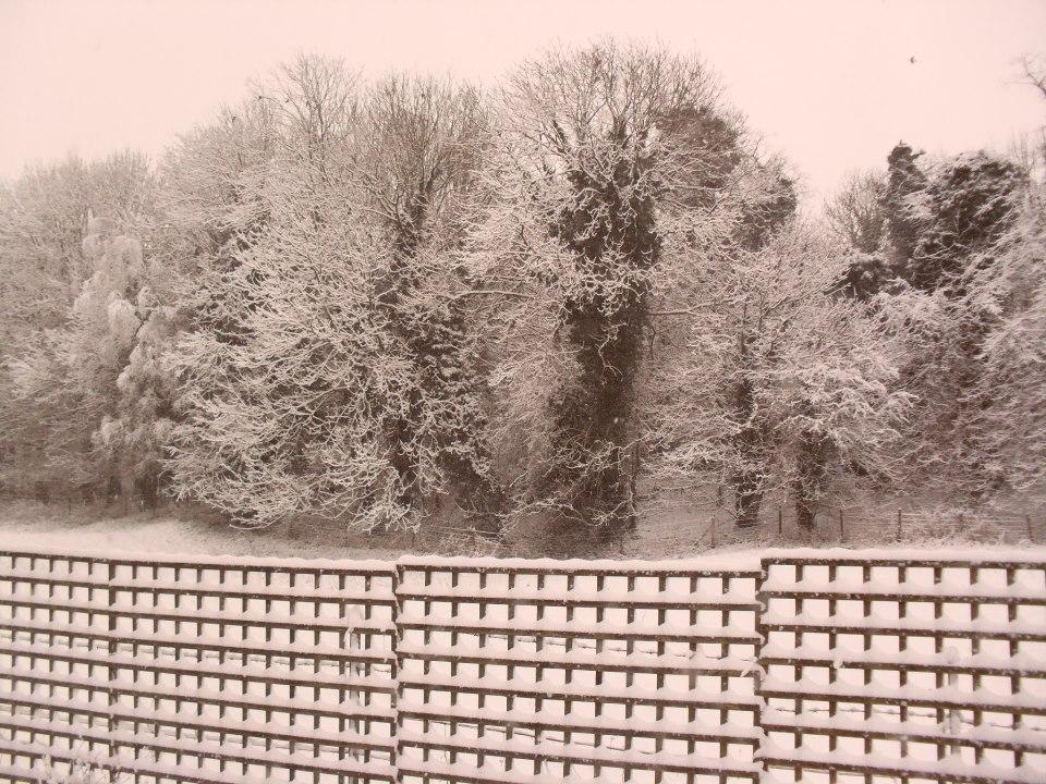 Snowy scenes in Shrewton. Picture by Vivienne Oxford.