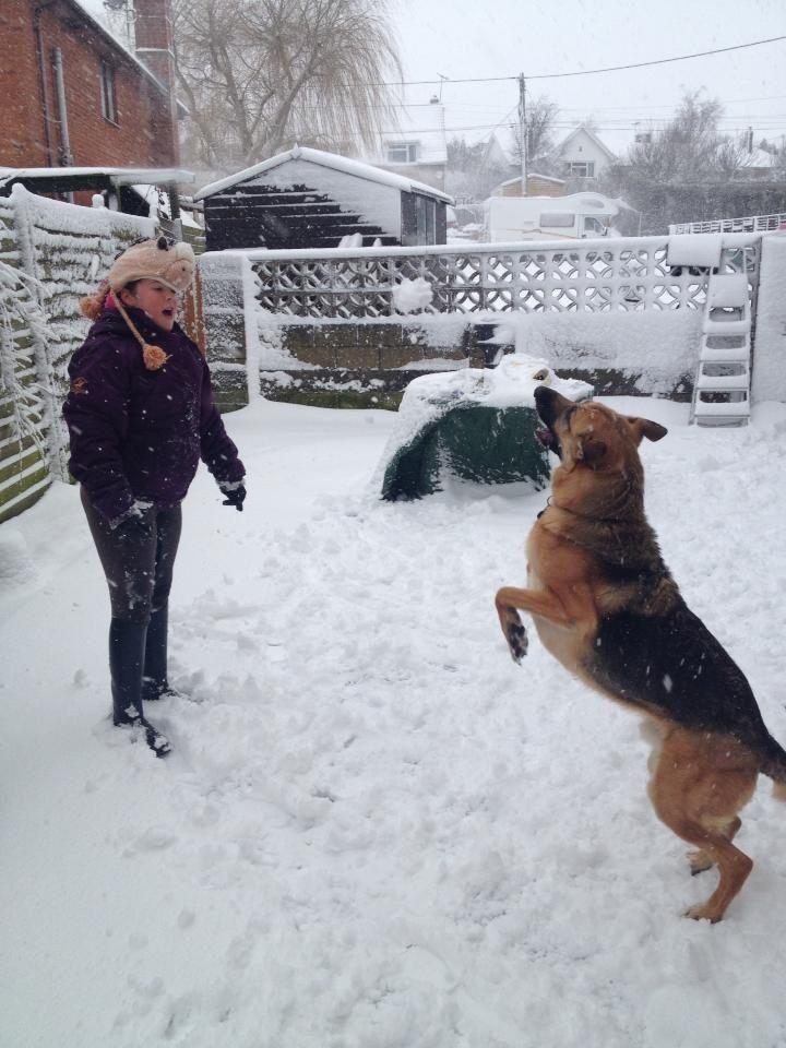 Nic Blake sent us this picture of 12-year-old niece Tierney and German shepherd Frank enjoying the snow in Shrewton.