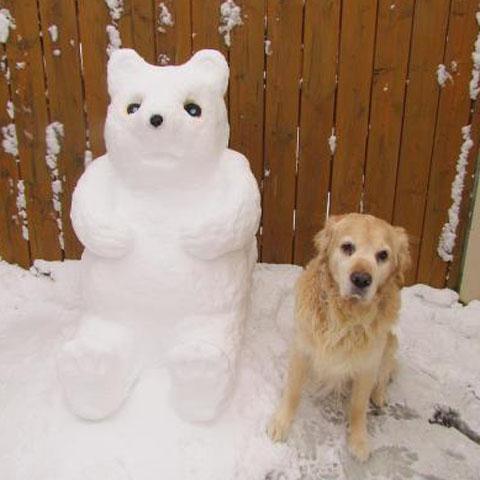 Holly and Tina Bartlett sent this picture of Rolo the dog making friends with their snow bear.