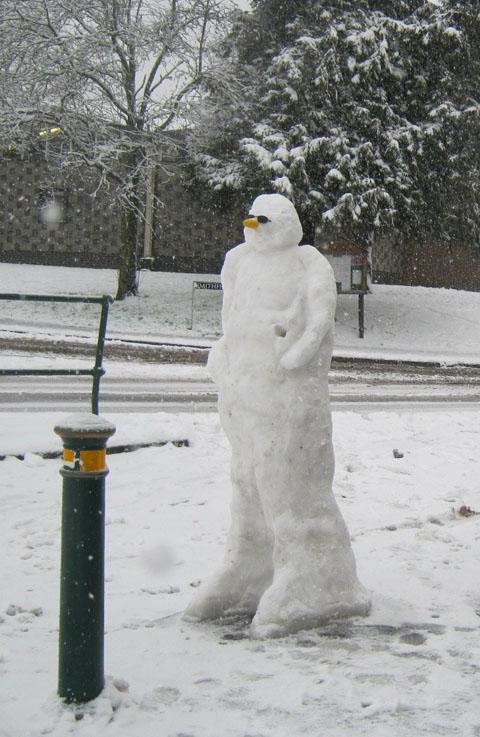 Angela Bayliss sent this picture of a snowman outside Hills Cycle and Fishing Shop in Amesbury.