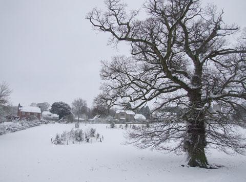 Grace Seaman, 15, sent us this snowy scene from Dinton.