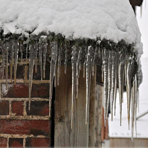 Nick Crocker captured these icicles hanging from a thatched roof in Winterbourne Stoke.