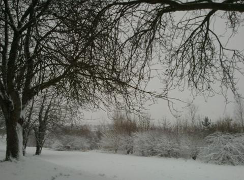 A snowy scene from Kelly Bartlett.