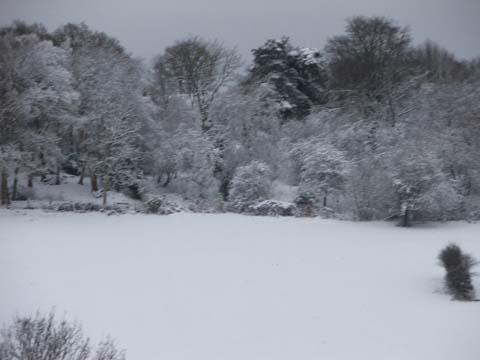A snowy scene at Hampton Ridge, Chilly Hill near Fordingbridge. Taken by Roland Dunn.