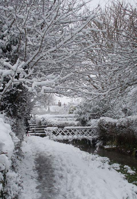 A winter wonderland in Mere. Taken by Graham Russell.