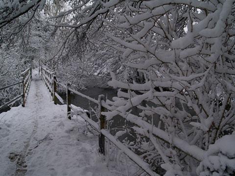 The footpath to Milston. Taken by David Hargrave.