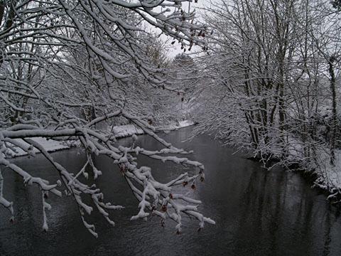 David Hargrave's picture of the River Avon at Milston.