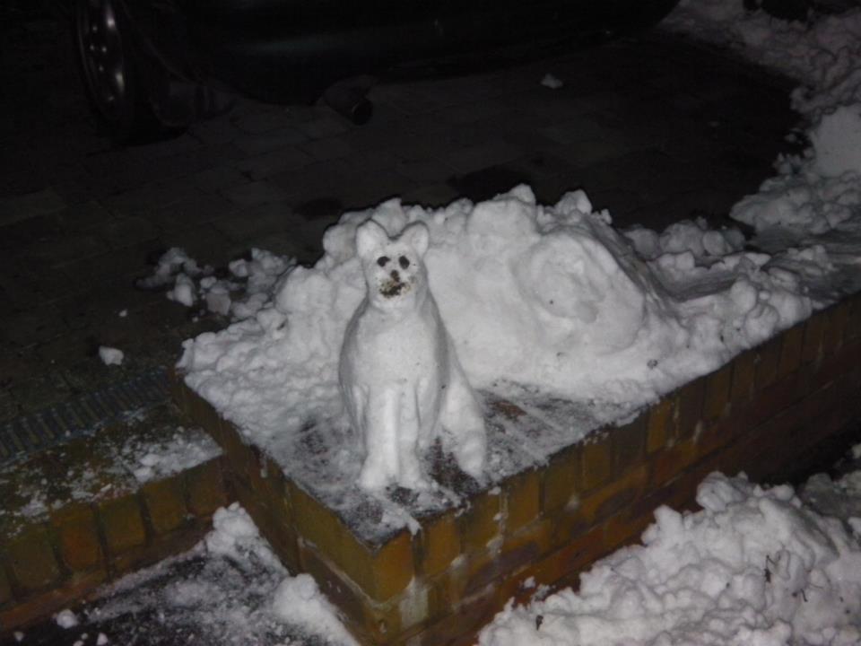 Nikkie Washere sent this picture of a snowcat.