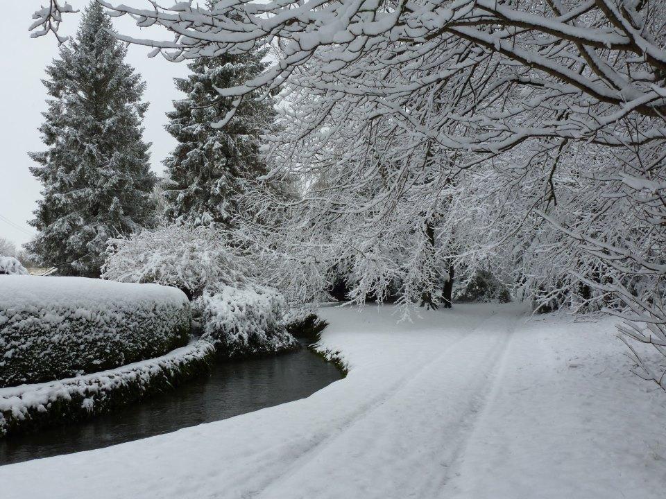 A beautiful winter scene, taken by Suzanne Jane Rawle.
