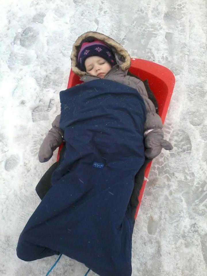 Sledging is hard work! Caroline Allen sent us this picture of a tired out little sledger.