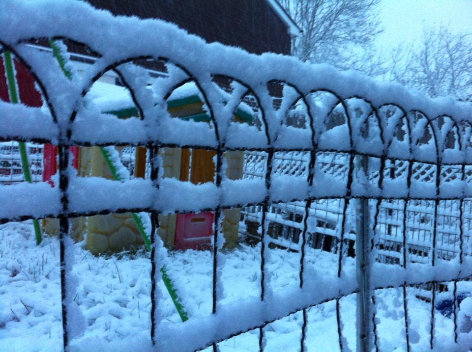 A snowy fence, taken by Adrian Boyd.