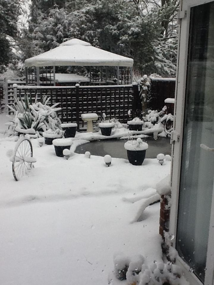Dawn Carter captured a deep blanket of snow in her garden.