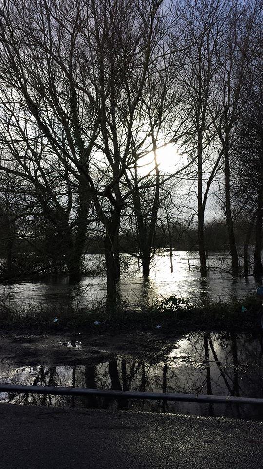 This picture of flooding in Lower Bemerton was taken by Ina Healy