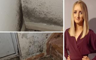 Cheryl Lowe and her three children have been living in a house infested with mould for the last two years.