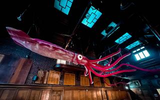Godolphin pupils build life-sized giant squid