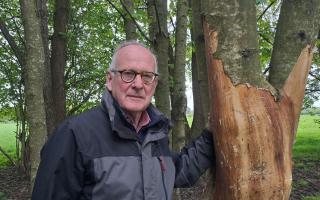 Managing trustee John Hunter said it was the most serious vandalism the meadows had seen 