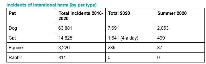 The RSPCA gets around 84,000 calls to its cruelty line every month and around 1,500 of those are about intentional cruelty
