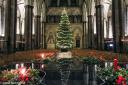Salisbury Cathedral at Christmas - By Paul Harwood