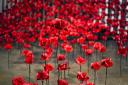 The red poppy, a symbol of remembrance, is seen in an artwork in Manchester (Peter Byrne/PA)