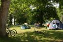 New planning controls aim to limit the impact of pop-up campsites in the New Forest